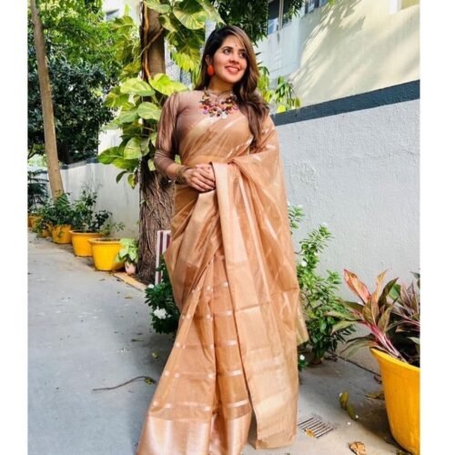 Buy Embroidered Organza Sarees Online | Singhania's – Page 8