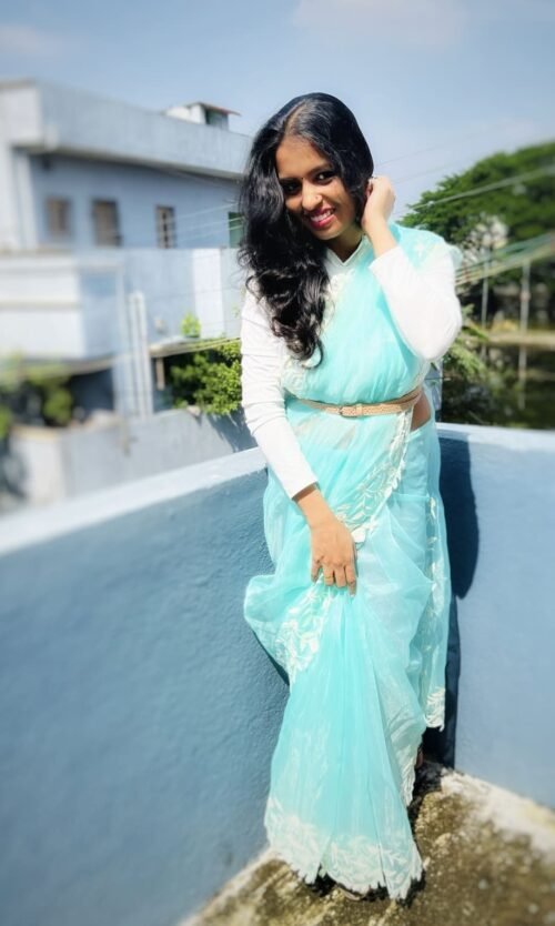 Ocean - Organza saree with lace embroidery