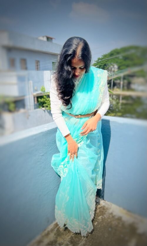 Ocean - Organza saree with lace embroidery - Image 3